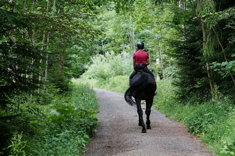 horse riding hack near me